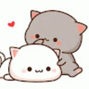 Meet your Posher, Gabriela